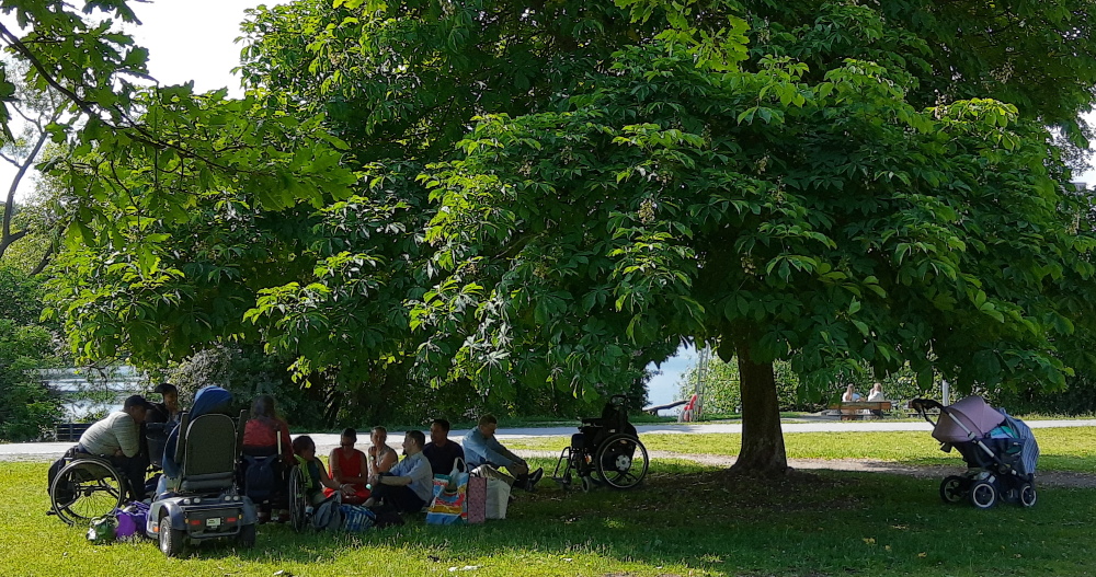 Ca 10 personer från DRV-RTA sitter i skuggan under ett träd i Trekantsparken.