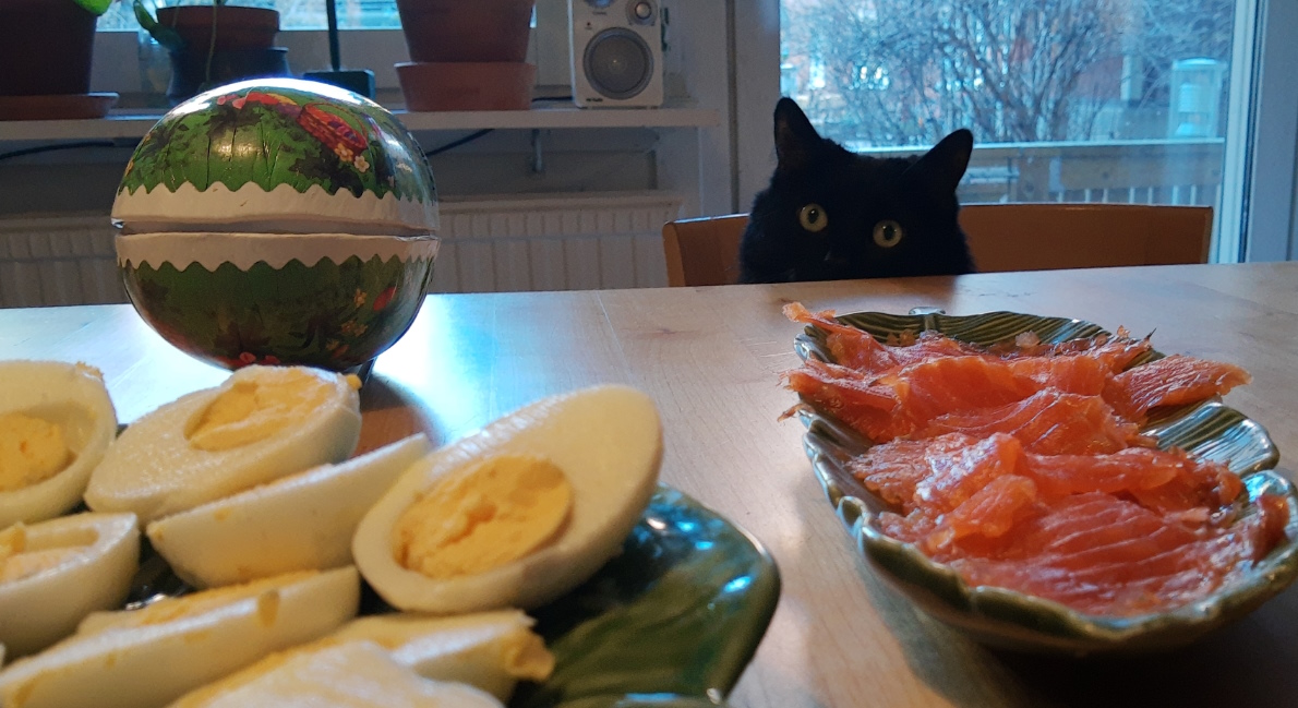 Ett påskdukat bord med lax, ägghalvor och ett påskägg. En svart katt (Maja, oftast kallad Majsen) med mycket förväntansfulla runda ögon sticker upp huvet på motsatt sida av bordet.